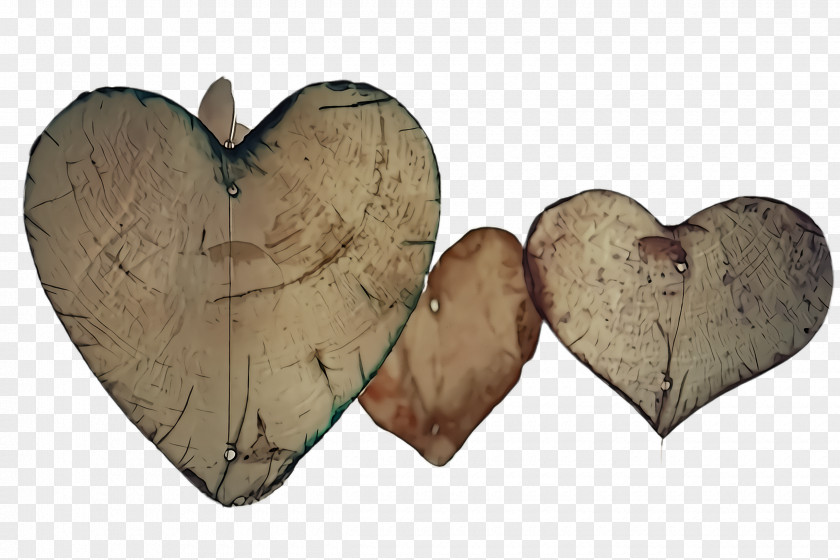 Petal Love Heart Leaf Wood Tree PNG