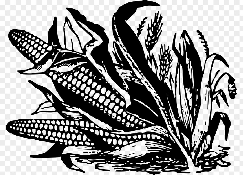 Popcorn Corn On The Cob Black And White Fritter Candy Maize PNG