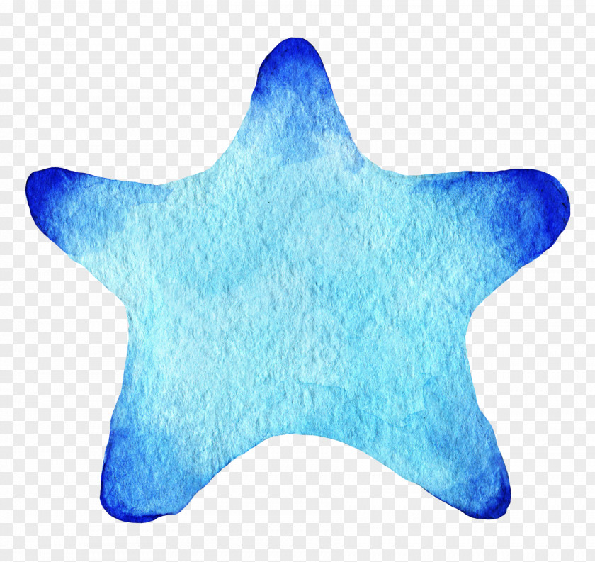 Starfish Watercolor Painting PNG