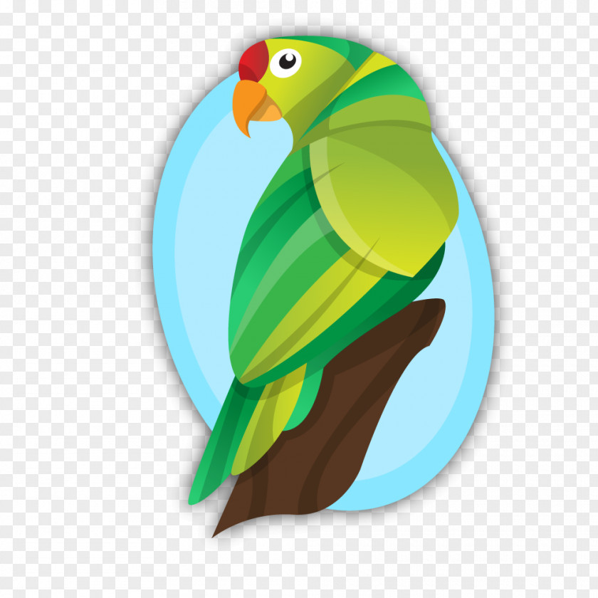Vector Cartoon Parrot Bird PNG