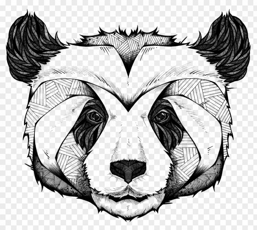 Design Giant Panda Drawing Canvas Print Printmaking PNG