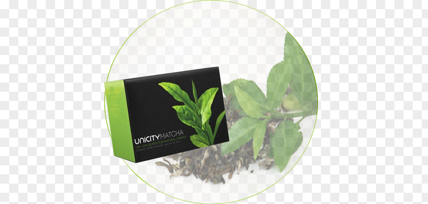 Green Tea Matcha Herbalism Web Page PNG