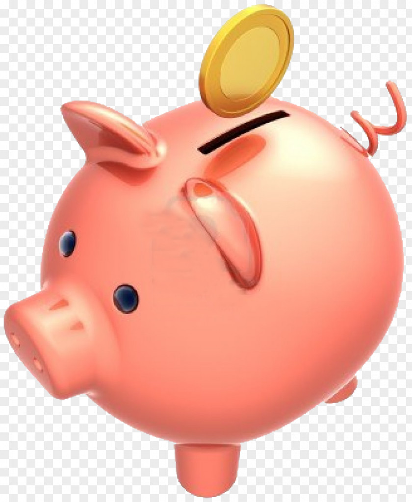 Piggy Bank Domestic Pig Money Coin PNG