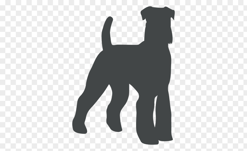 Puppy Miniature Schnauzer Dog Breed Standard Dachshund PNG