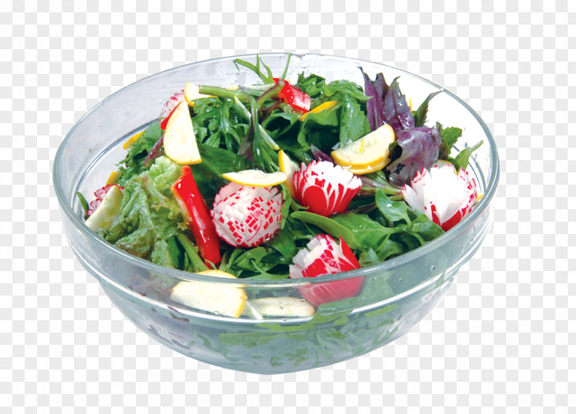 Vegetable Salad Fruit PNG