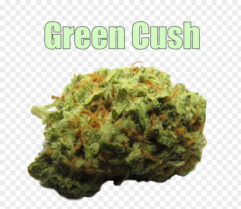 Cannabis Kush Stoner Film Strain Cause PNG