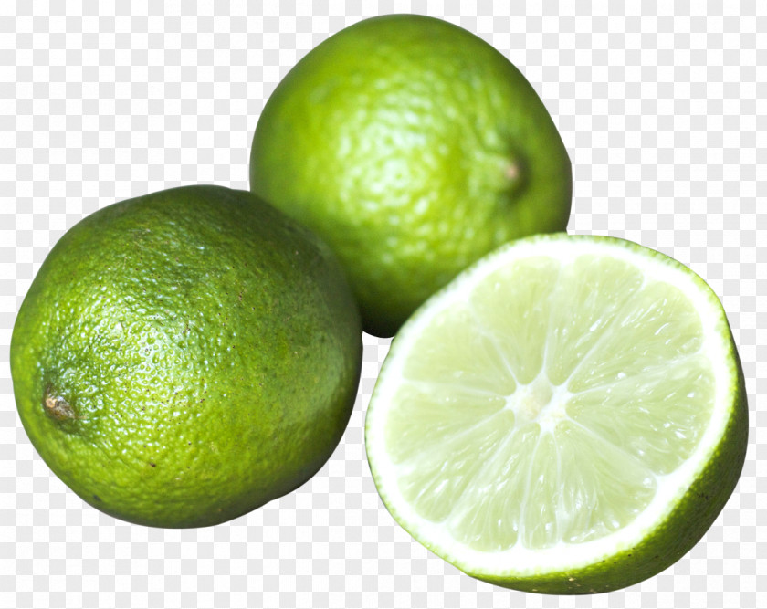 Citrus Lime Fruit Persian Lemon Juice Key PNG