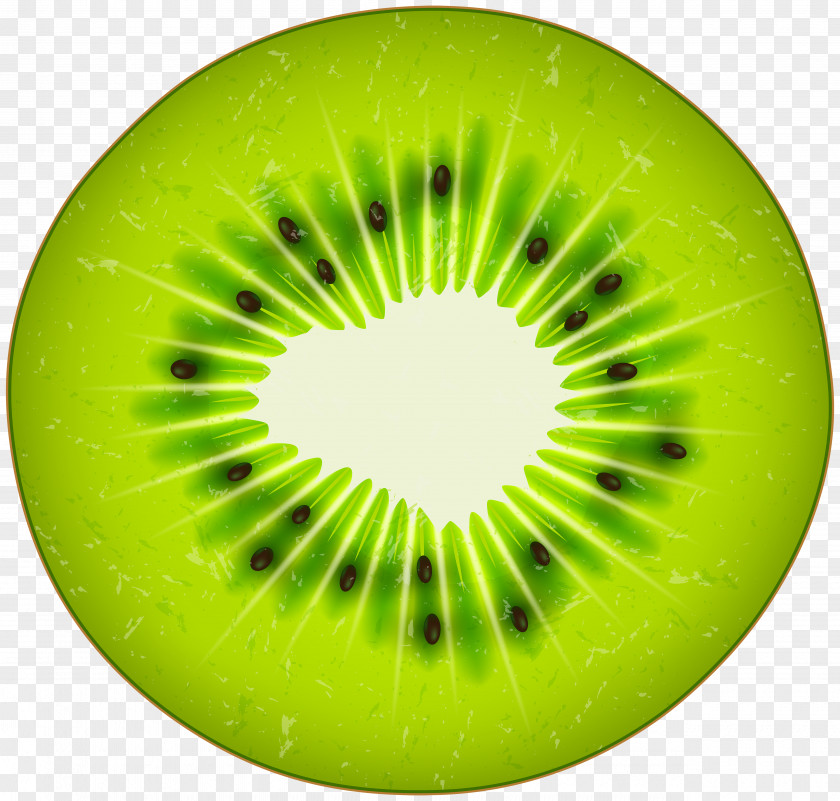 Orange Gradient Circle With Transparent Background Kiwifruit Illustration Image Drawing PNG