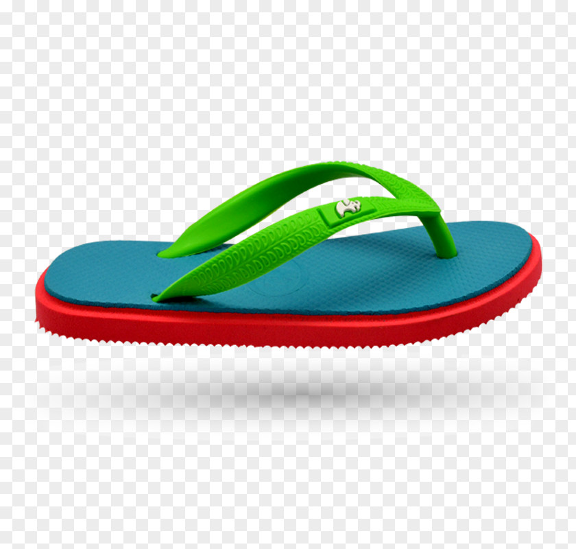 Please Ask The Girls To Visit Men's Dormitory Flip-flops Slipper Green Turquoise Shoe PNG