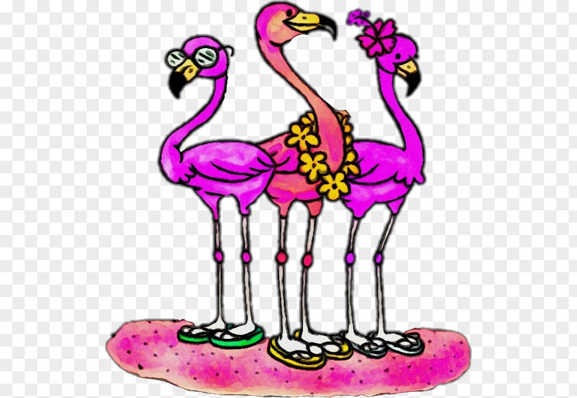 Beak Birds Water Bird Pink M Biology PNG