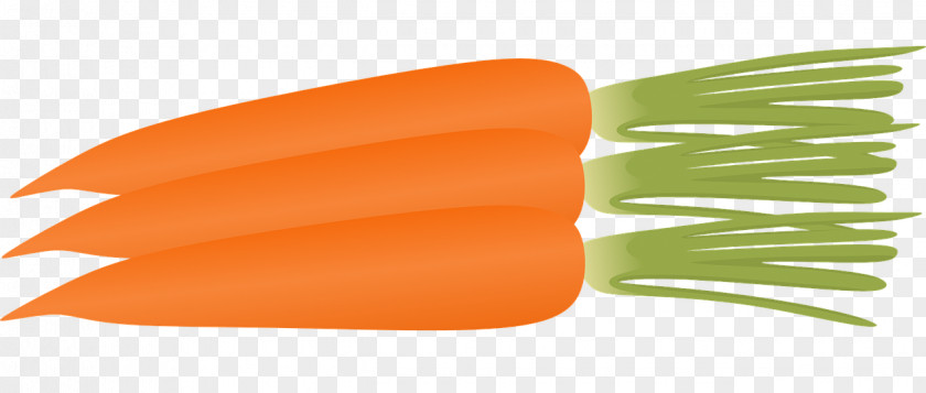 Carrot Cliparts Cake Salad Muffin Clip Art PNG