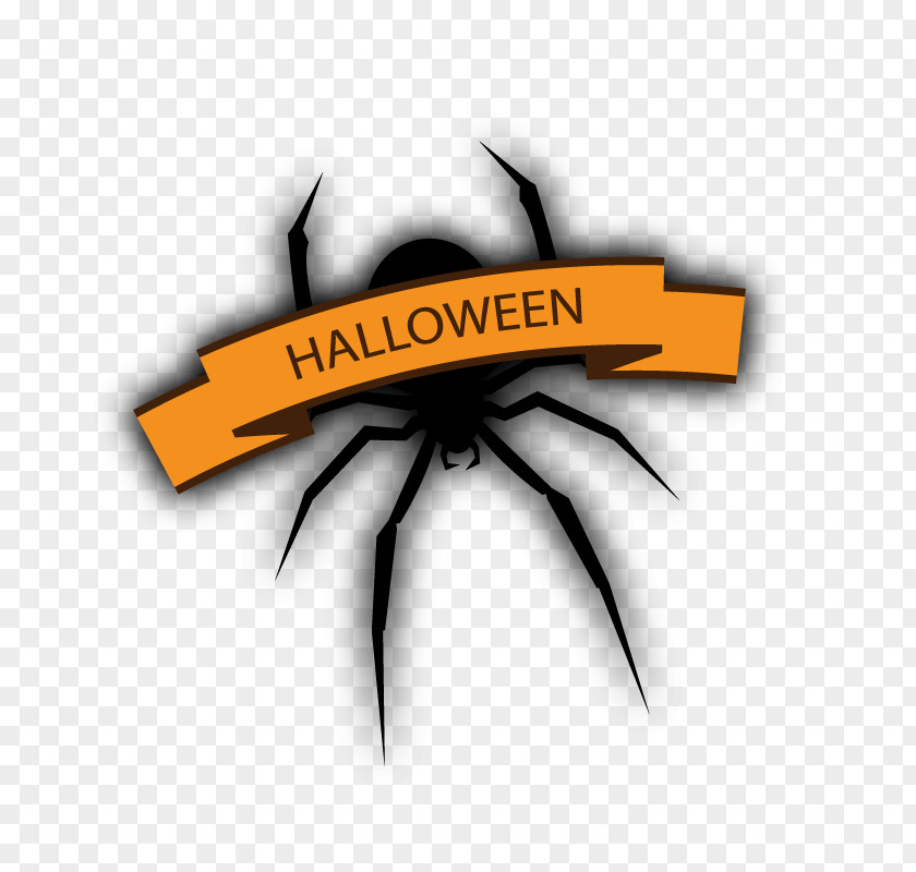 Halloween Spider Bat PNG