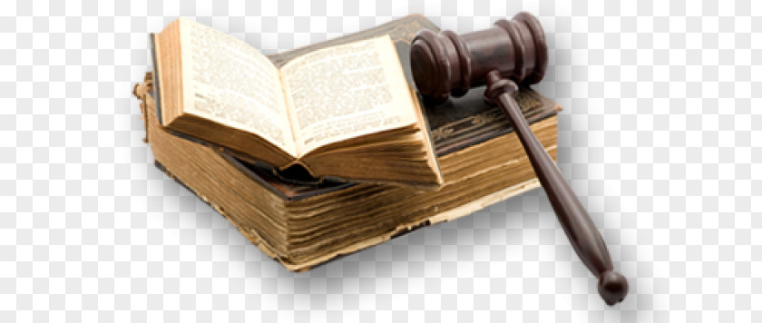 Lawyer Law Firm Legislation Bankruptcy PNG