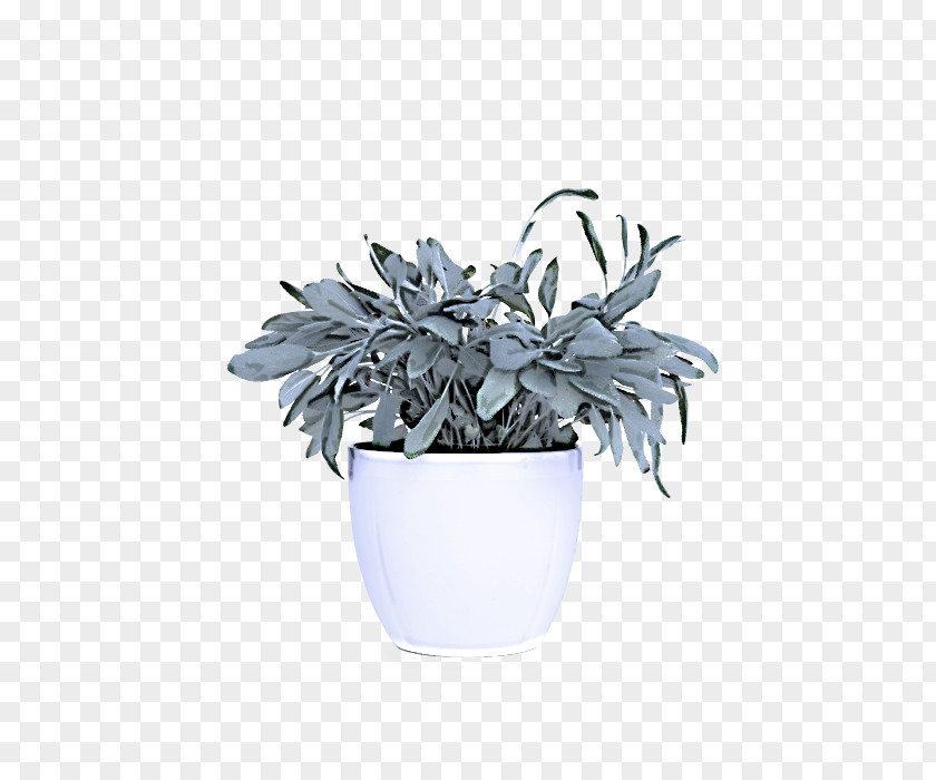 Perennial Plant Metal White Flowerpot Echeveria Flower PNG