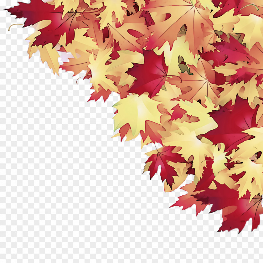 Maple Sweet Gum Leaf PNG