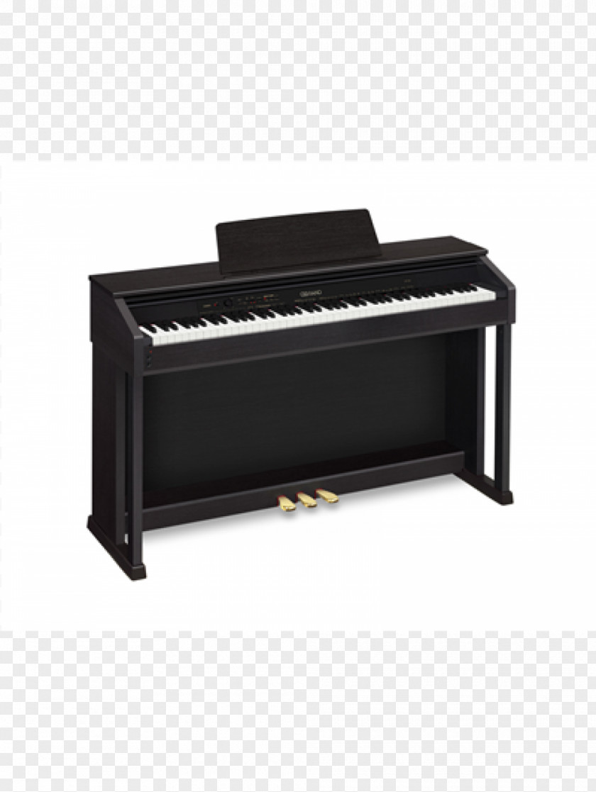 Piano Digital Casio Musical Instruments PNG