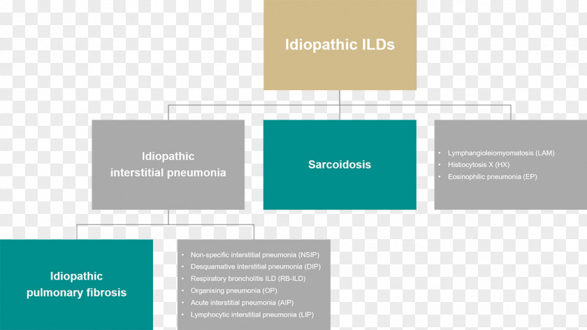 Pneumonia Pathophysiology Idiopathic Pulmonary Fibrosis Interstitial Disease Lung Non-specific PNG