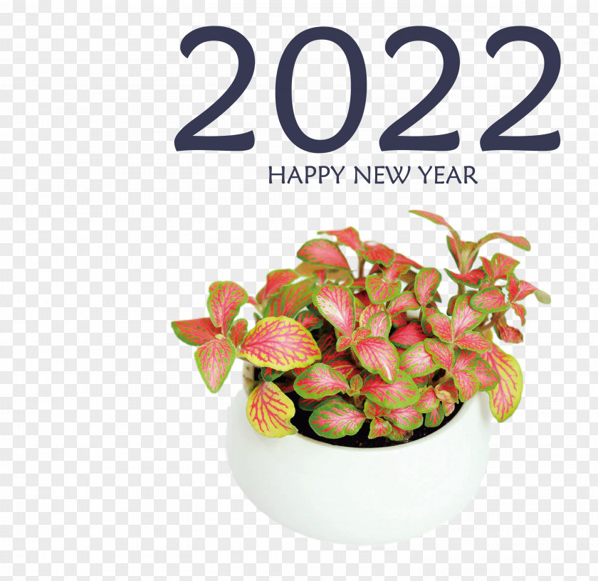 2022 Happy New Year PNG