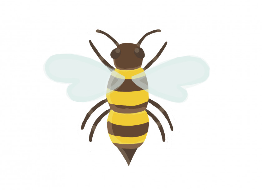 Bee Honey Insect Guess The Emoji PNG