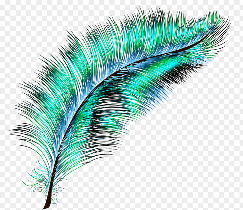Blue Feather Bird Drawing PNG