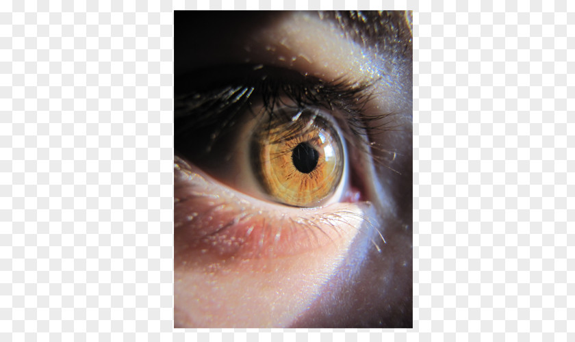 Bright Eyes Light Human Eye Iris Iridology PNG