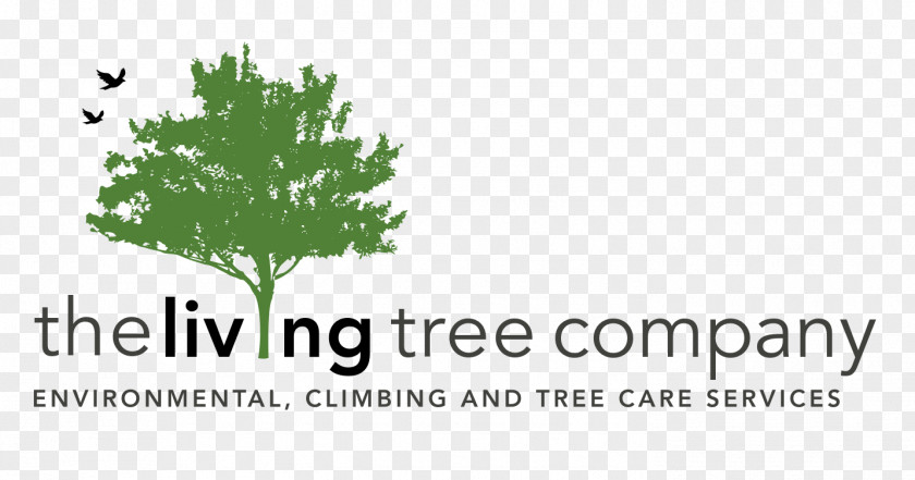 Handsaw Arbor Pro Tree Management Co LLC Afacere Landscape Company PNG
