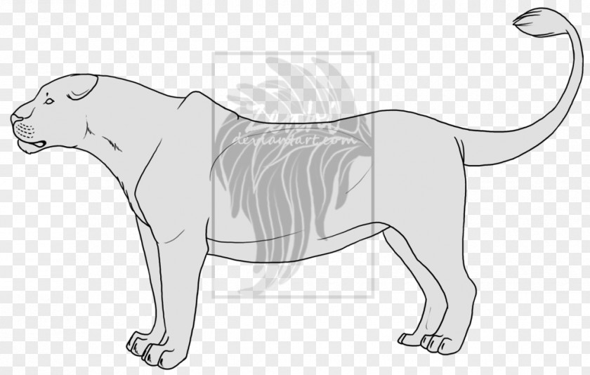 Lion Dog Cat Tiger Cheetah PNG