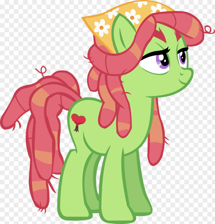 My Little Pony Rainbow Dash Rarity Fluttershy Pinkie Pie PNG