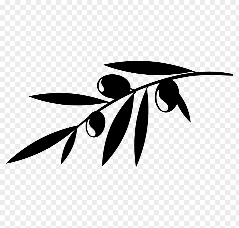 Olive Branch Leaf Clip Art PNG