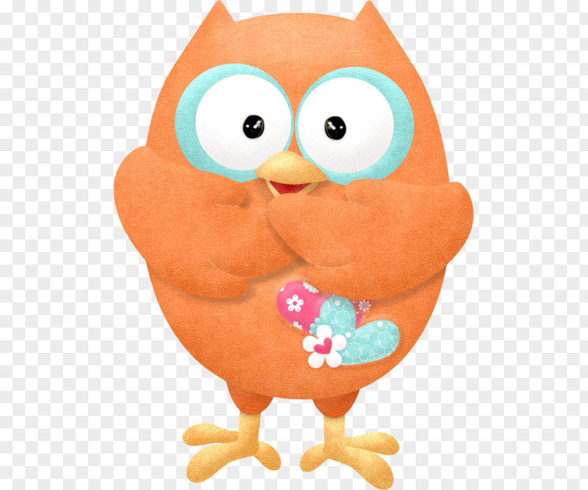 Owl Little Bird Tawny PNG