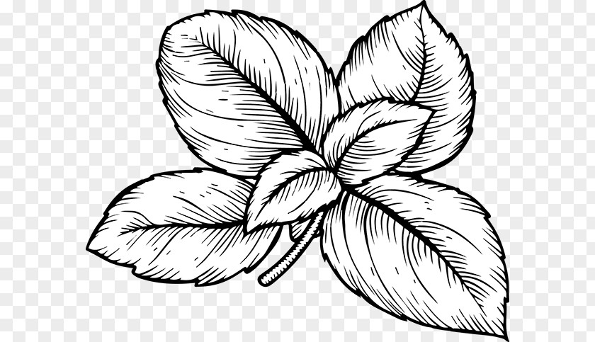 Poisson Grillades Basil Herb Italian Cuisine Drawing Clip Art PNG