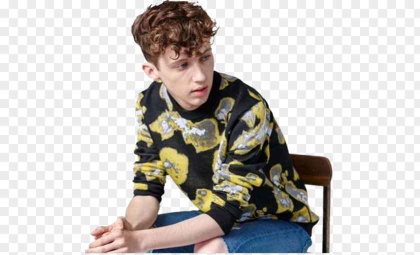 Youtube Troye Sivan Blue Neighbourhood YouTuber PNG