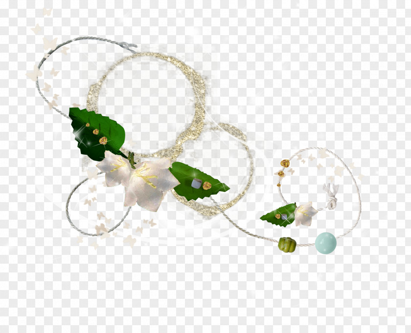 Beautiful Decorative Ring Leaf Green Illustration PNG