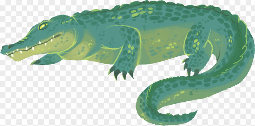 Crocodile Alligators Reptile Gharial Artist PNG