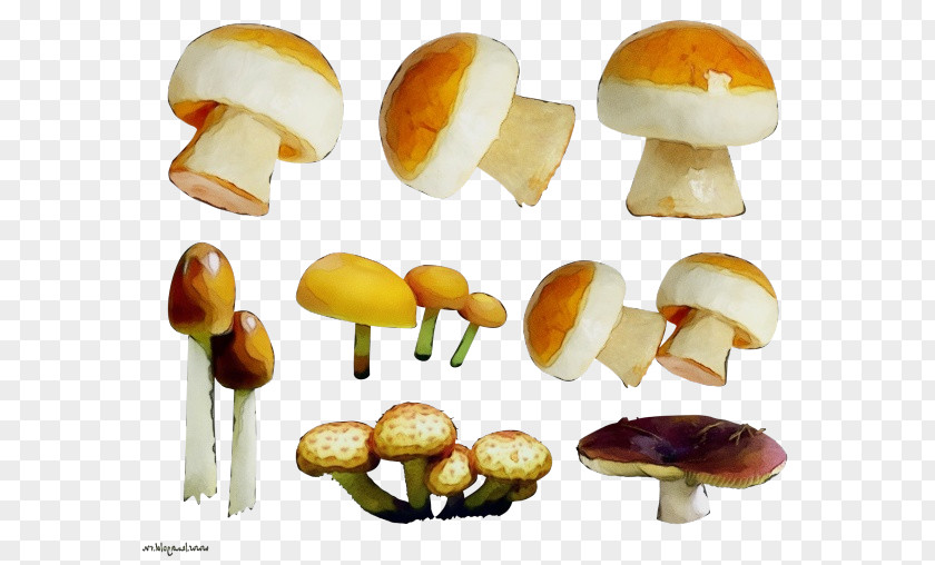 Ingredient Enokitake Mushroom Cartoon PNG