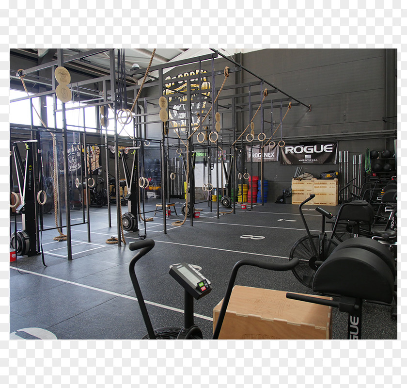 MMA Throwdown Puerto Rico De Gran Canaria CrossFit Riders Fitness Centre Physical PNG