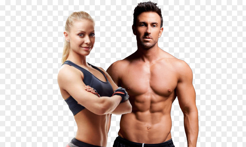 Body Building Physical Fitness Exercise Centre Bench PNG