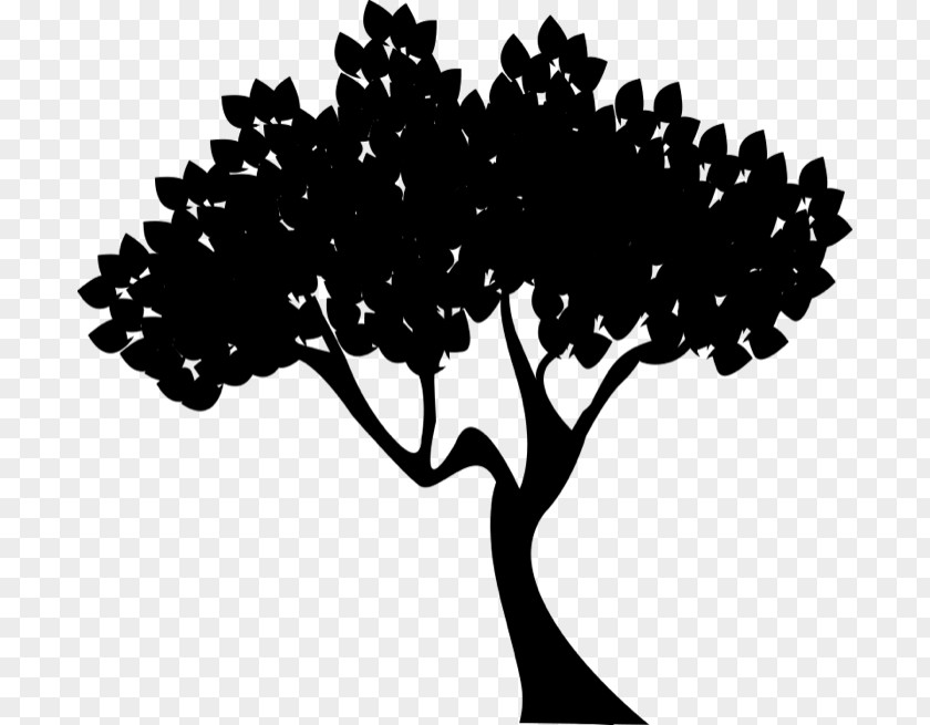 Clip Art Tree Report Dendropanax Morbiferus Graphics PNG