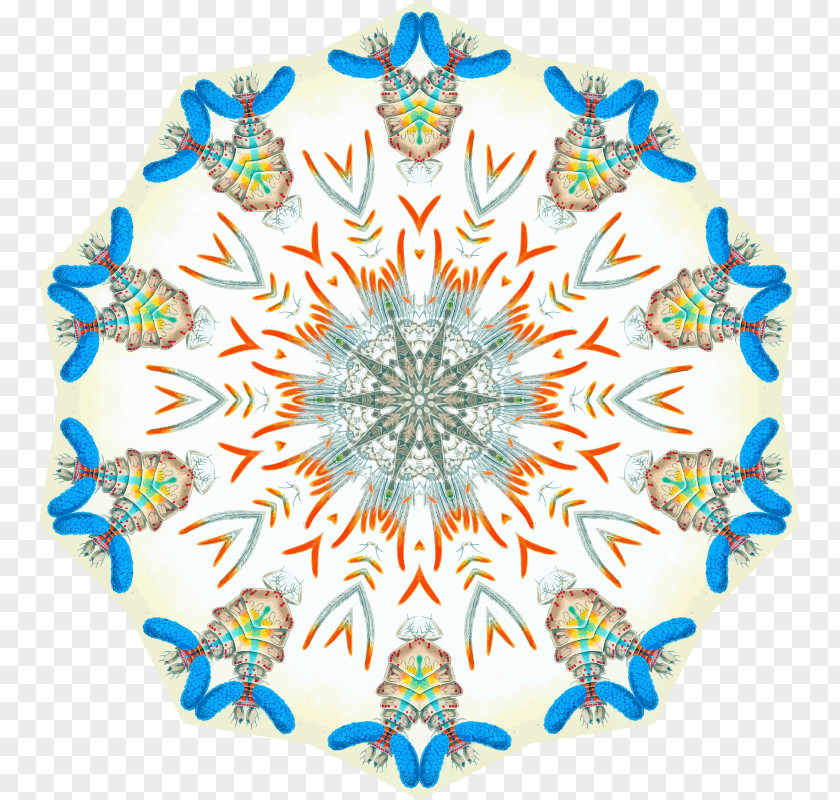 Drawing Symmetrical Rosette Paint.net PNG