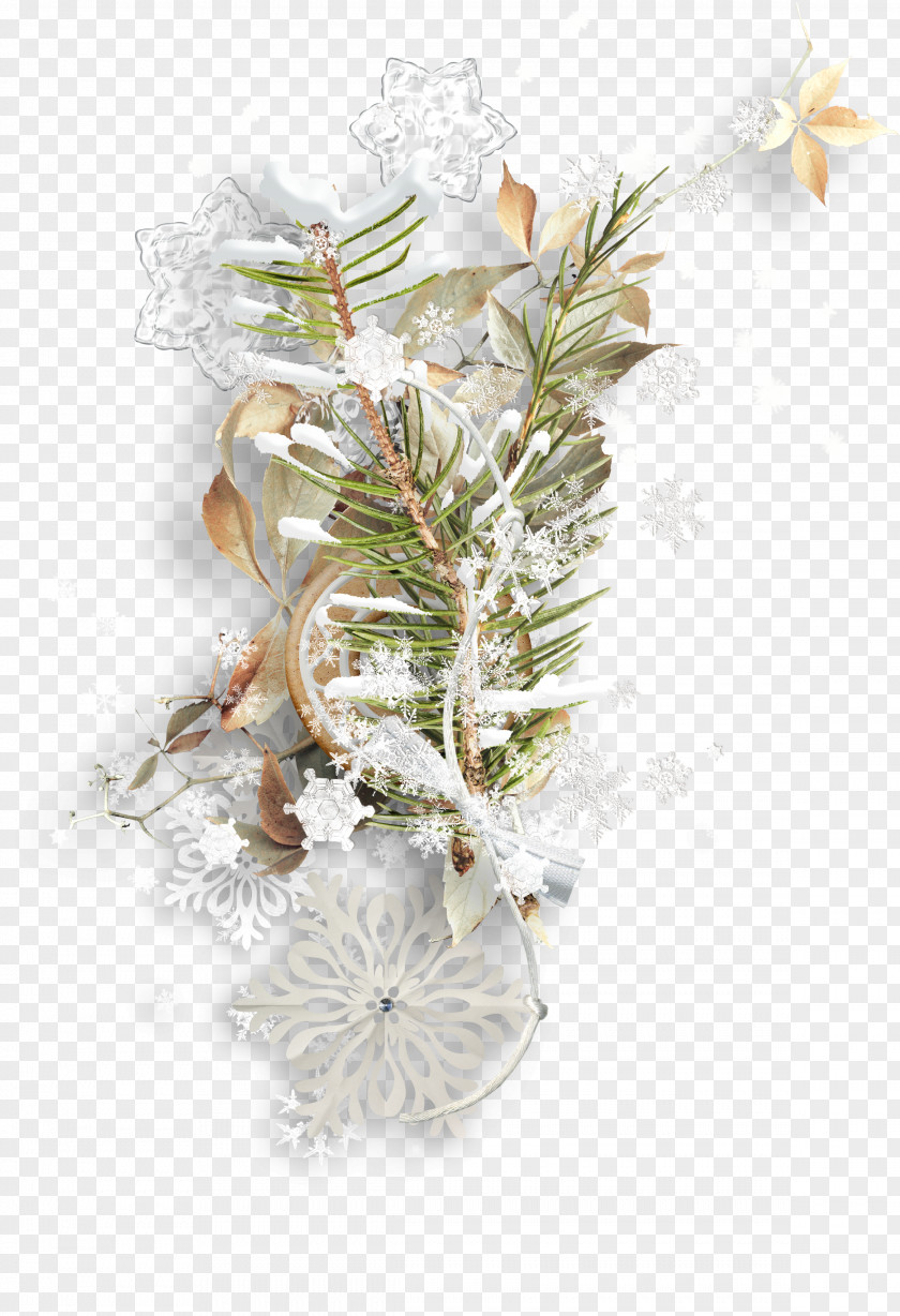 Snowflake Cookies Foliage Ribbons Biscuit Cookie PNG