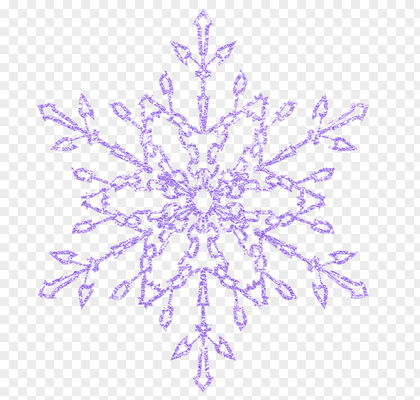 Snowflake Decoration Purple Violet PNG
