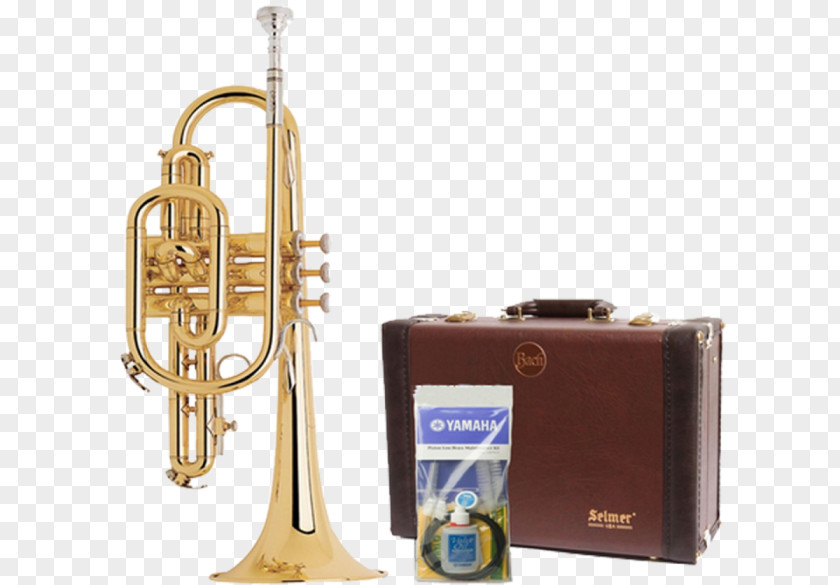 Trumpet Saxhorn Cornet Flugelhorn Bugle PNG