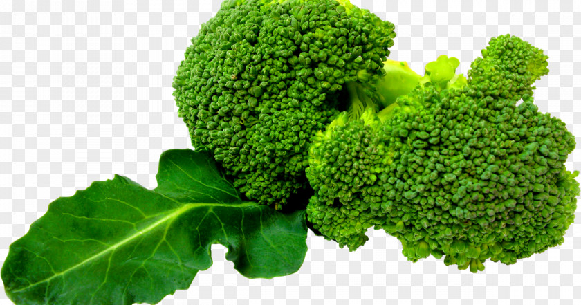 Broccoli Slaw Leaf Vegetable Clip Art PNG
