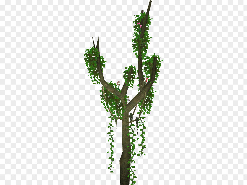 Climbing Zoo Tycoon 2 Tree Plant Branch Wiki PNG