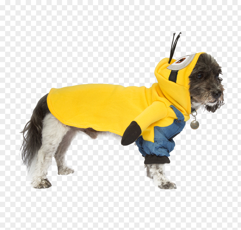 Dog Breed Puppy Minions Costume PNG