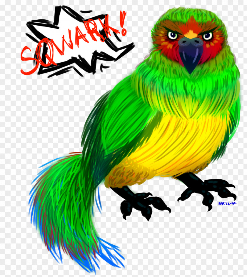 Feather Lovebird Macaw Parakeet Beak PNG