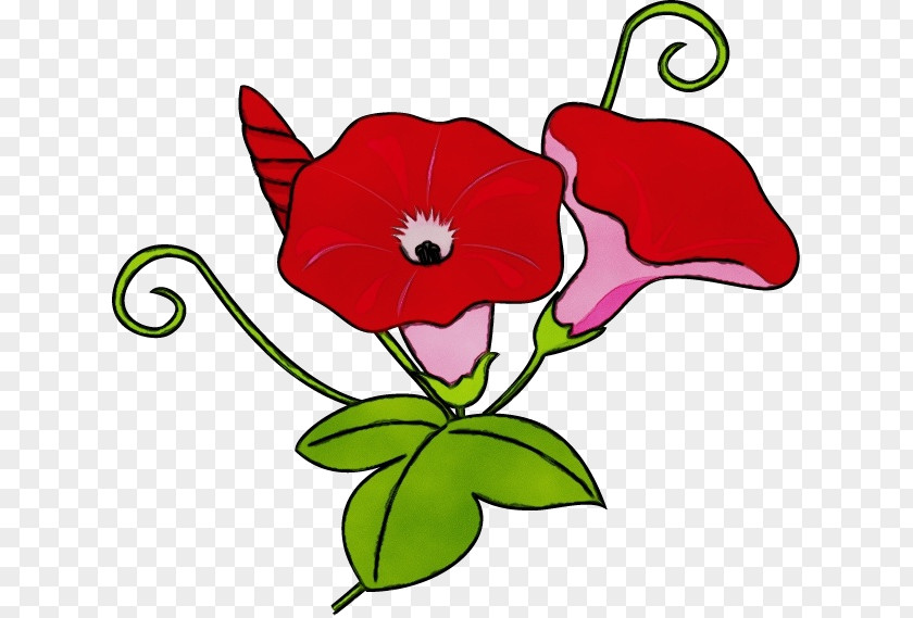 Flowering Plant Petal Flower Clip Art Red PNG