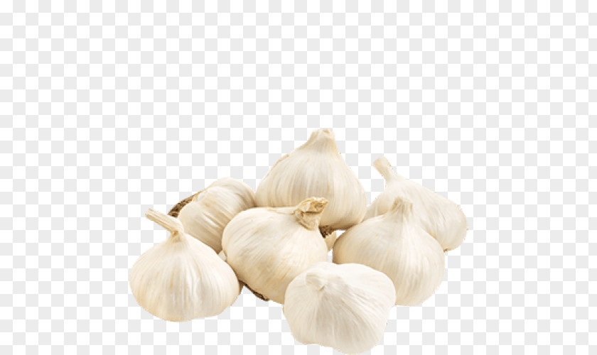 Fresh Garlic Health Herb Disease Nutrition PNG