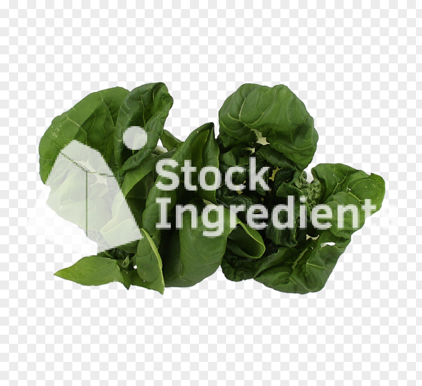 Leaf Spring Greens Vegetable PNG