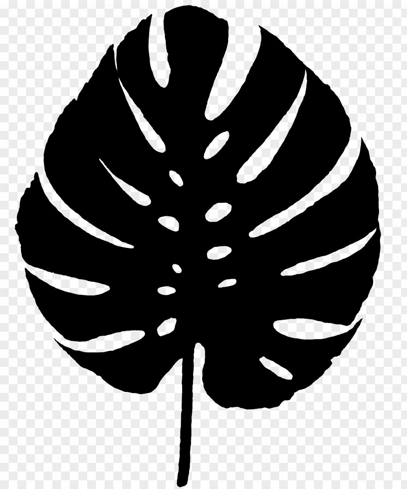 M Leaf Flowering Plant Font Black & White PNG